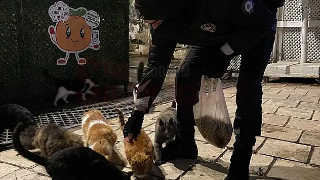 Bodrum İlçe Emniyet Müdürlüğü Ekipleri Evsizlere ve Sokak Hayvanlarına Sahip Çıktı
