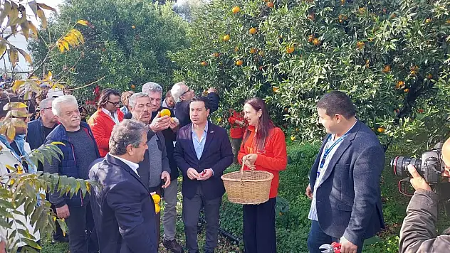 Bodrum Mandalina Festivali Buruk Geçti