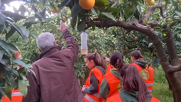 Bodrum Mandalina Haftası Etkinliklerle Gerçekleşiyor