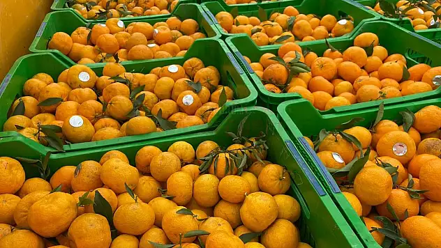 Bodrum Mandalini Zincir Marketlerde