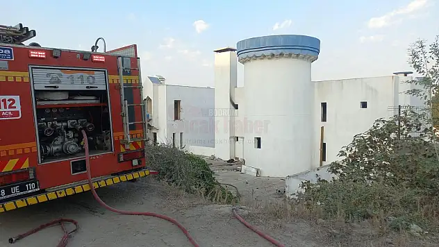 Bodrum Sahillerinde ve Metruk Otellerde Kalıp Sorun Yaratıyorlar