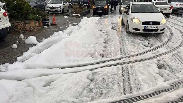 Bodrum Sokaklarındaki Köpük Şaşkınlıkla Karşılandı