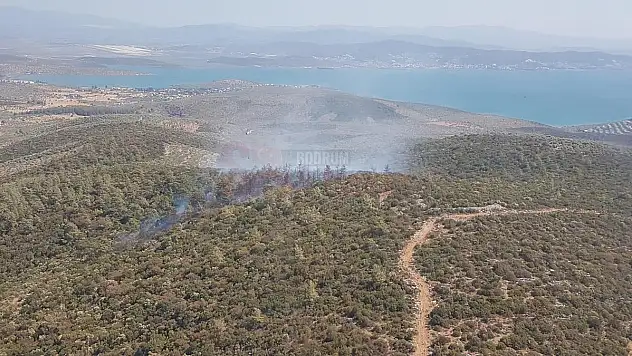 Bodrum ve Milas'taki orman yangınlarına 3 uçak ve 12 helikopterle müdahale ediliyor