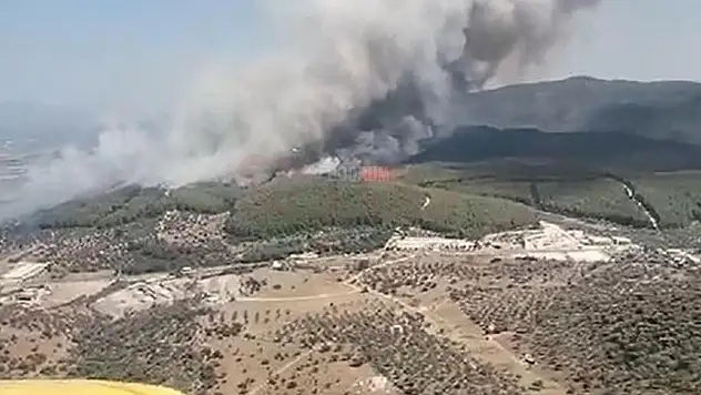 Bodrum Yangınına 7 Helikopter 3 Uçak Müdahale Ediyor