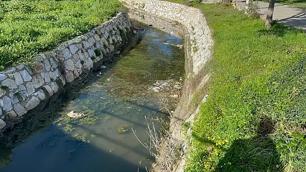 Bodrum'a Yakışmayan Görüntüler