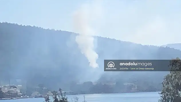 Bodrum'da 1 günde 3 Yangın