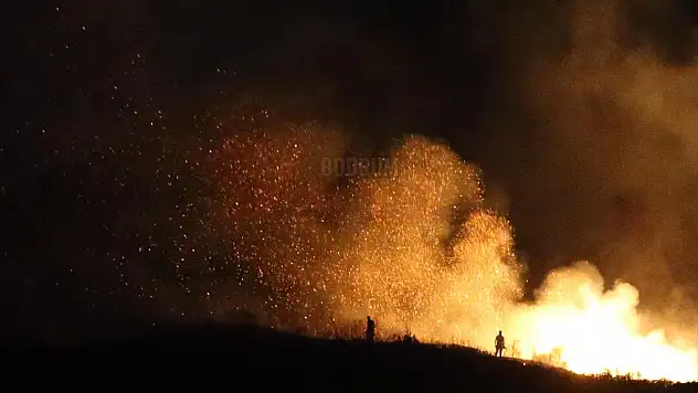 Bodrum'da 10 Hektar Ormanlık Alan Yandı