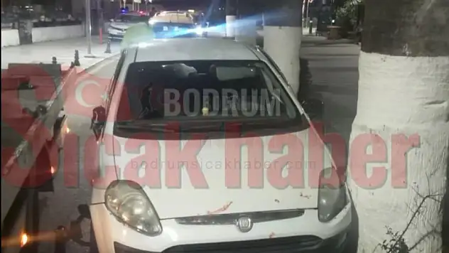 Bodrum'da Aşırı Alkollü Sürücü Ağaca Çarparak Durabildi