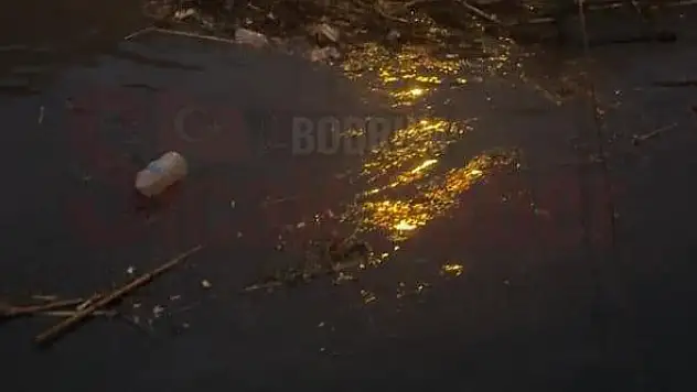 Bodrum'da Azmaklar Alarm Veriyor