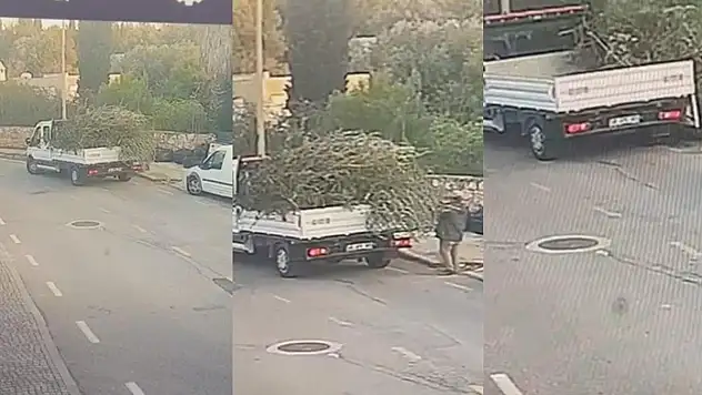 Bodrum'da Bahçe Atığı Bırakan Şahsa ve Firmaya Cezai İşlem Uygulandı