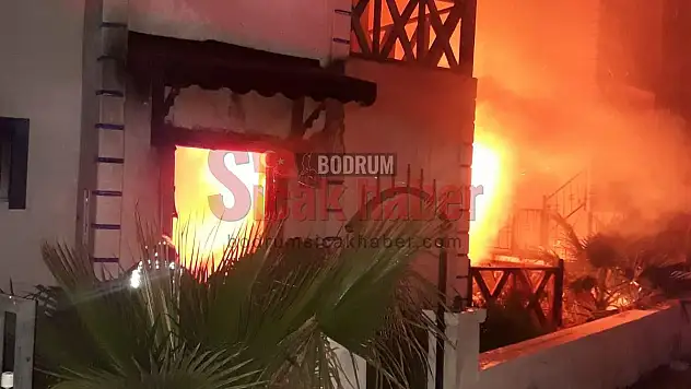 Bodrum'da bir daire kül oldu