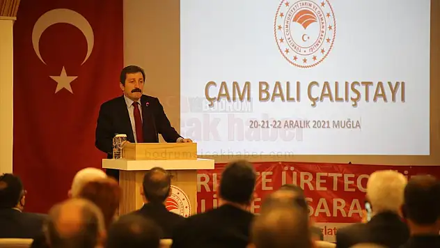 Bodrum'da 'Çam Balı Çalıştayı' başladı