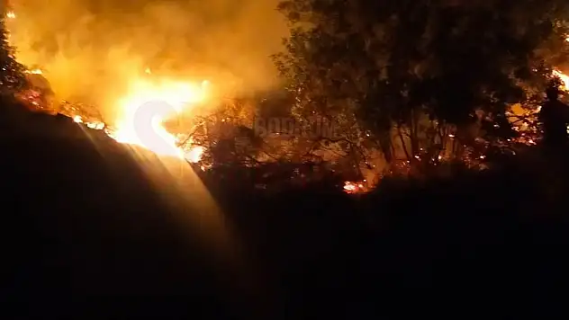 Bodrum'da çıkan orman yangını söndürüldü