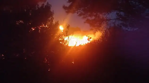 Bodrum'da Çıkan Yangın Kontrol Altına Alındı