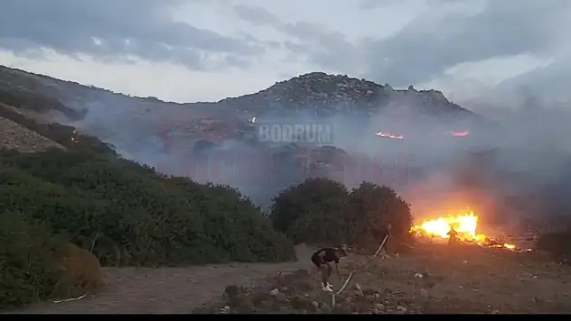 Bodrum'da Çıkan Yangın Rüzgârın Etkisi ile Yayılıyor