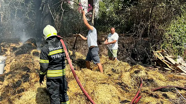 Bodrum'da Çıkan Yangına Vatandaşlar da Yardım Etti