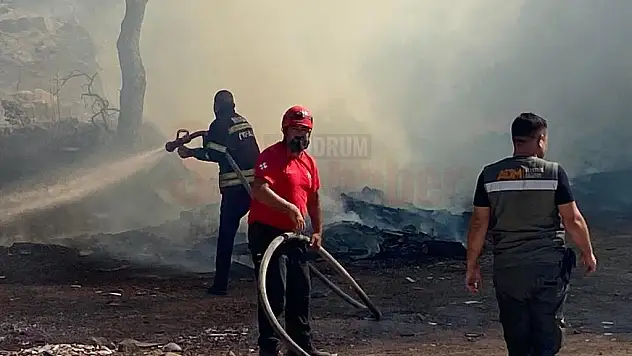 Bodrum'da Çıkan Yangında 5 Dönüm Arazi Yandı