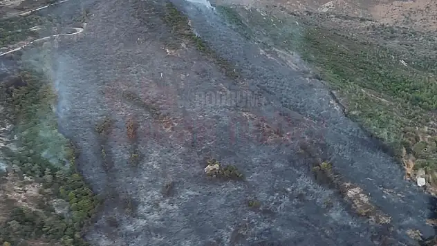 Bodrum'da çıkan yangında 5 hektar makilik alan zarar gördü