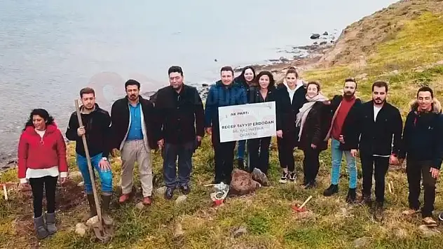 Bodrum'da Cumhurbaşkanı Erdoğan'ın Doğum Günü Dolayısıyla 68 Zeytin Fidanı Dikildi