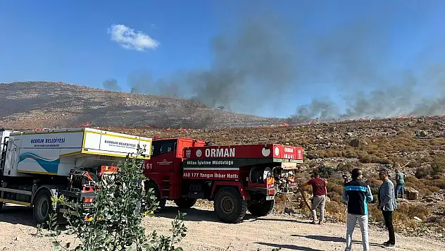 Bodrum'da Dağlık Alanda Yangın Çıktı