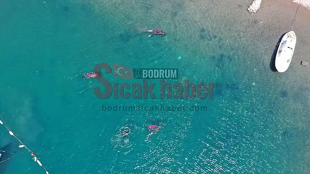 Bodrum'da dalgıçların yaptığı deniz dibi temizliğinde bir ton atık toplandı