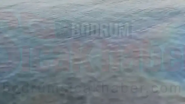 Bodrum'da Denize Mazot Döktüler