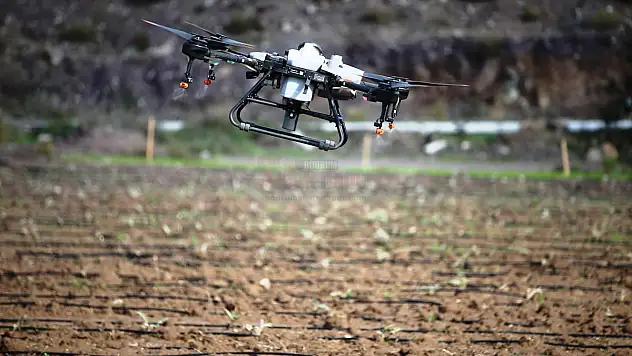 Bodrum'da Dron Hizmeti Çiftçinin Yüzünü Güldürdü