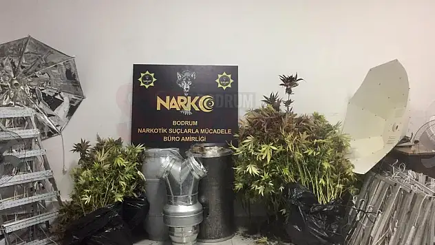Bodrum'da Evinde Düzenek Kurup Uyuşturucu Yetiştiren Şahıs Yakalandı