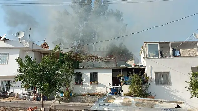 Bodrum'da Evlere Yakın Çıkan Yangın Korkuttu