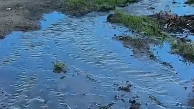 Bodrum'da Günlerdir Akan Lağım Suları Vatandaşları Mağdur Etti