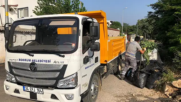 Bodrum'da Hummalı Bayram Temizliği