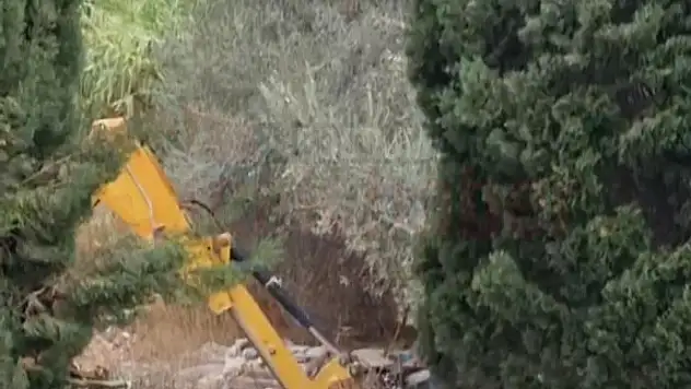 'Bodrum'da İnşaat Yasağının Sona Ermesinin Ardından Doğa Katliamı Tehdidi Artıyor'