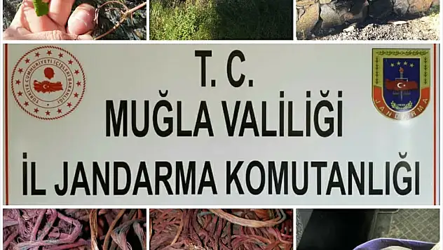 Bodrum'da kablo hırsızlığı yaptığı iddia edilen kişi gözaltına alındı