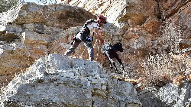 Bodrum'da kayalıklarda mahsur kalan iki keçi kurtarıldı