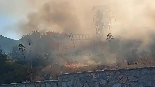 Bodrum'da Kızılburun Mevkiindeki Otluk Alanda Yangın Kontrol Altına Alındı