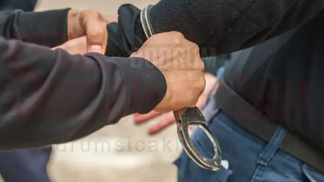 Bodrum'da Köpeğe Cinsel Saldırıda Bulunan Şüpheli Tutuklandı