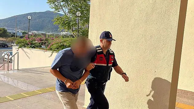 Bodrum'da Köpeğin Tüfekle Vurulduğu İddiası