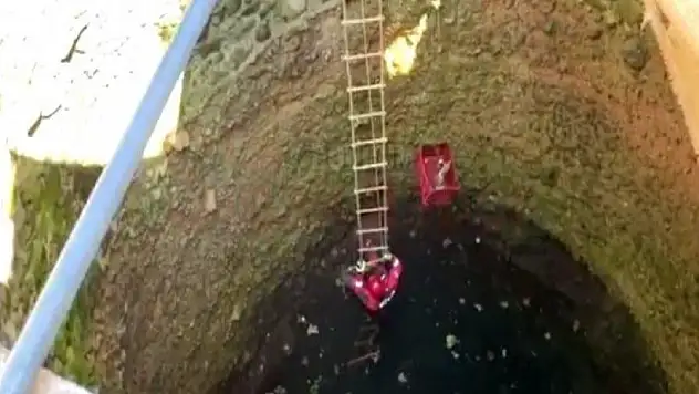 Bodrum'da kuyuya düşen kediyi itfaiye kurtardı