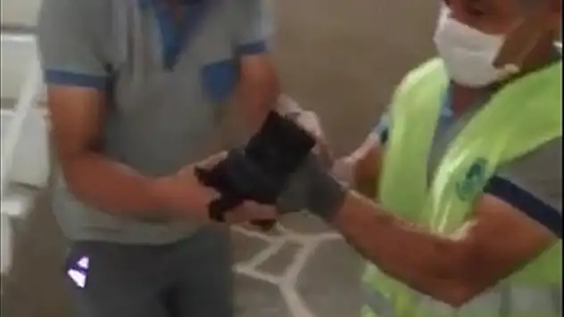 Bodrum'da mahsur kaldığı sarnıçtan kurtarılan kedi yavrusunu belediye personeli sahiplendi