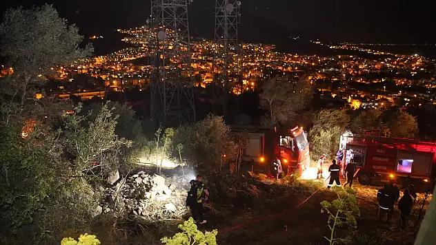 Bodrum'da makilik ve otluk alanda çıkan yangın söndürüldü