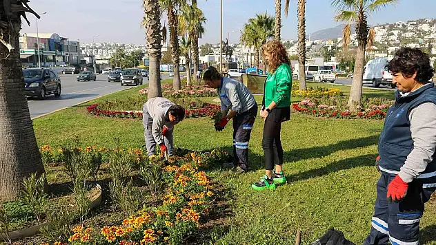 BODRUM'DA MEVSİMLERE UYGUN BİTKİ VE ÇİÇEKLERLE SU TASARRUFU SAĞLANACAK