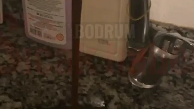 Bodrum'da Musluklardan Ne Akıyor?