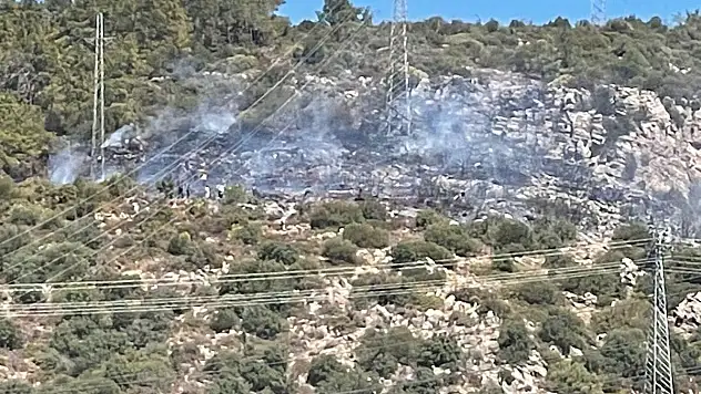 Bodrum'da ormanlık alanda çıkan yangın kontrol altına alındı