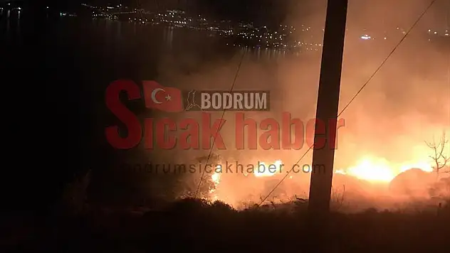 Bodrum'da otluk alanda çıkan yangın söndürüldü