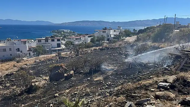 Bodrum'da Otluk alanda Yangın Çıktı