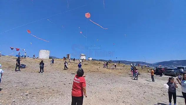 Bodrum'da Renkli Uçurtma Festivali
