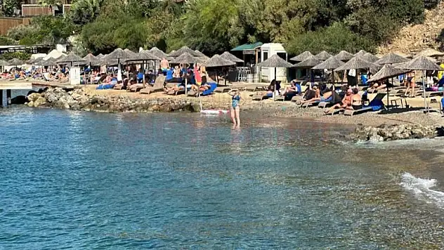 Bodrum'da Sarı Yaz Keyfi