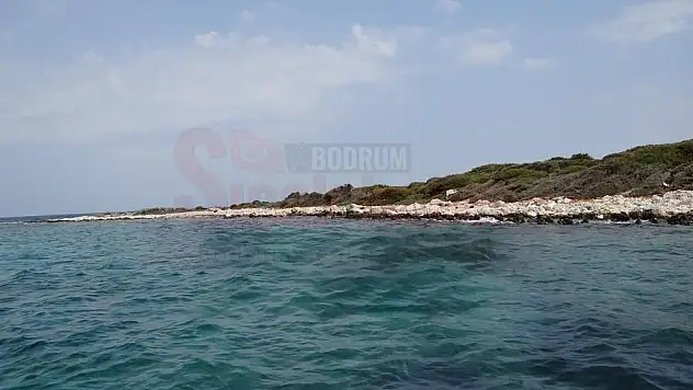 Bodrum'da Satılık Adanın Fiyatı Şaşırttı