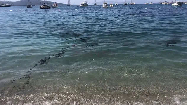 Bodrum'da Sintine Bırakan Tekneler Yüzünden Denize Girilemiyor