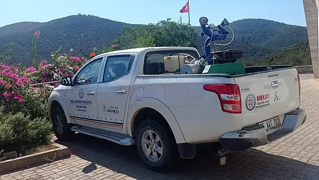 Bodrum'da Sivrisinekler Gelenleri Uyutmadı